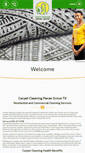 Mobile Screenshot of carpetcleaningpecangrove.com